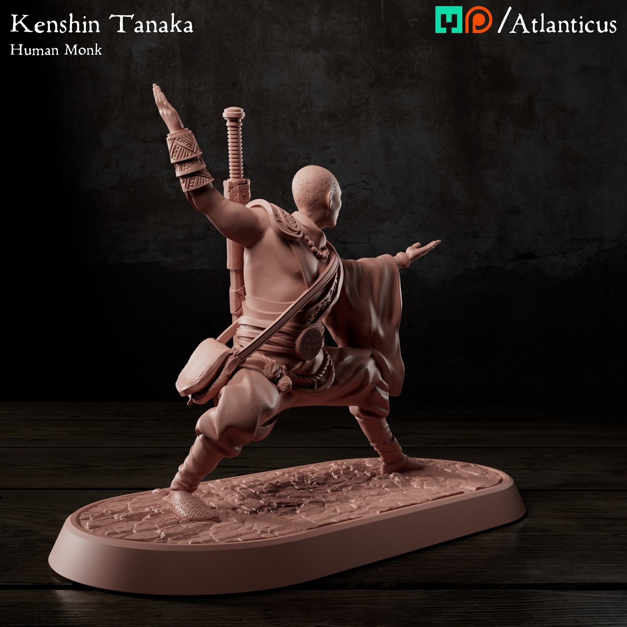 Male Human Monk - Kenshin Tanaka - Unarmed Backstance 3D print model_1