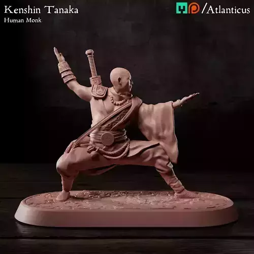 Male Human Monk - Kenshin Tanaka - Unarmed Backstance 3D print model
