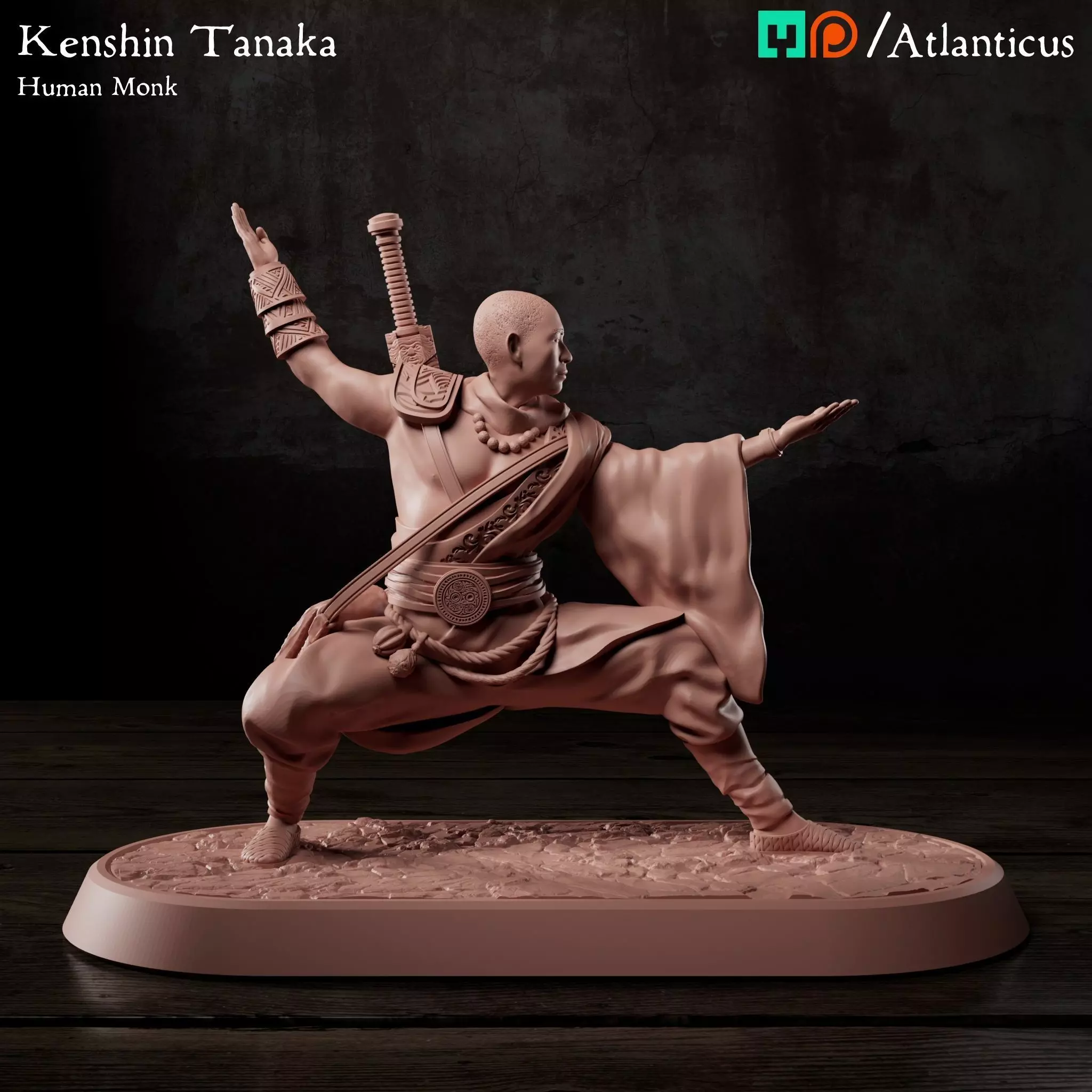 Male Human Monk - Kenshin Tanaka - Unarmed Backstance 3D print model_0