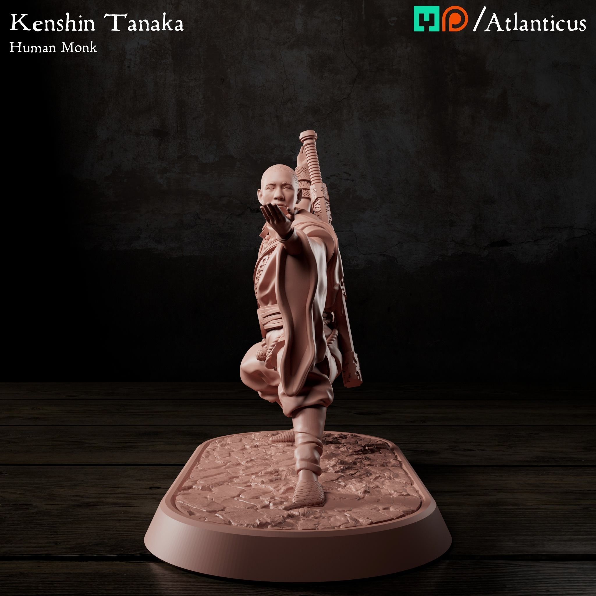 Male Human Monk - Kenshin Tanaka - Unarmed Backstance 3D print model_6