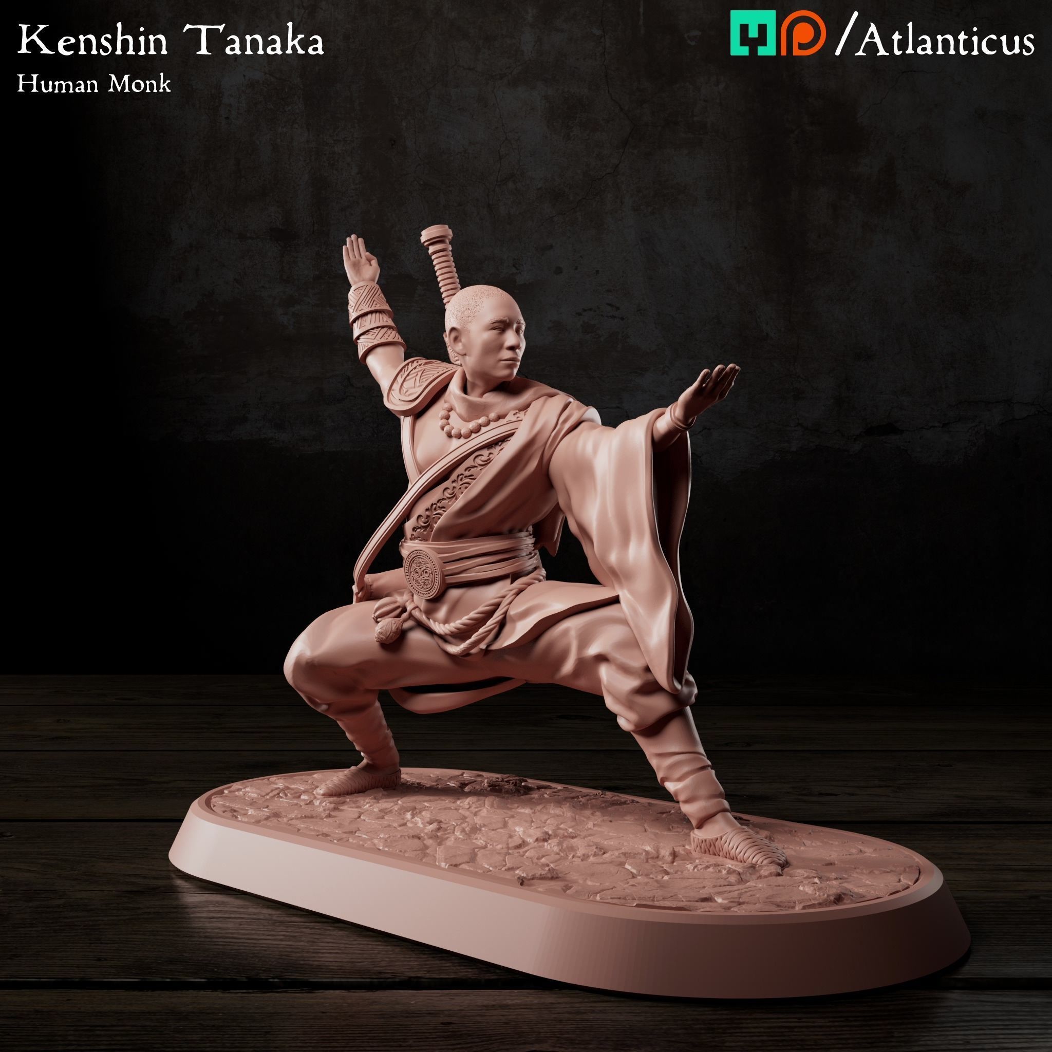 Male Human Monk - Kenshin Tanaka - Unarmed Backstance 3D print model_7