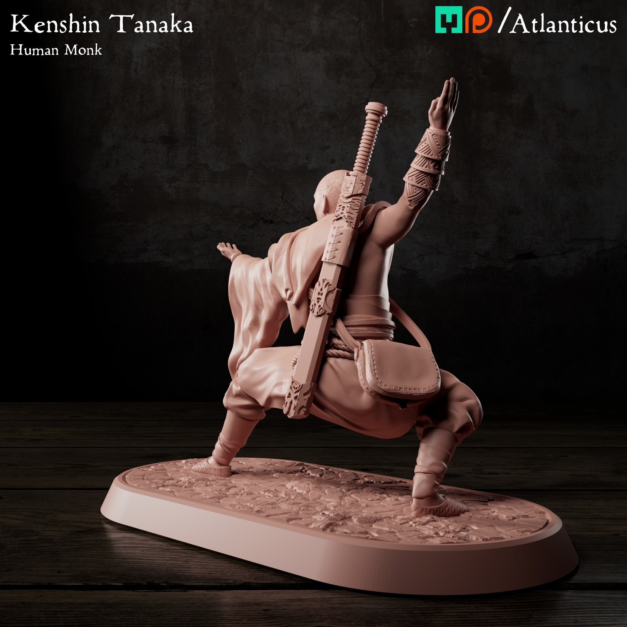 Male Human Monk - Kenshin Tanaka - Unarmed Backstance 3D print model_3