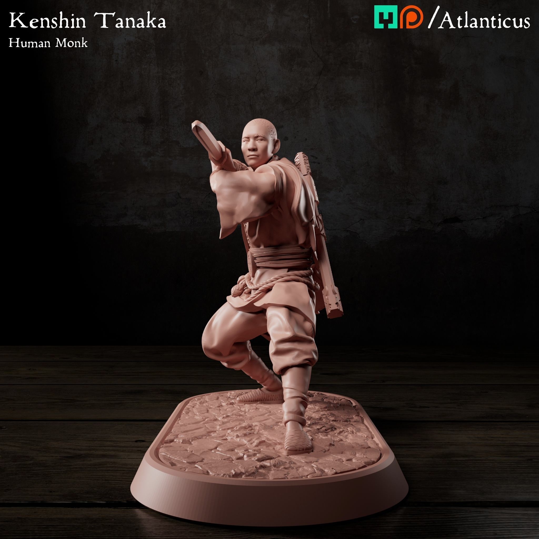 Male Human Monk - Kenshin Tanaka - Sword Guarding 3D print model_6