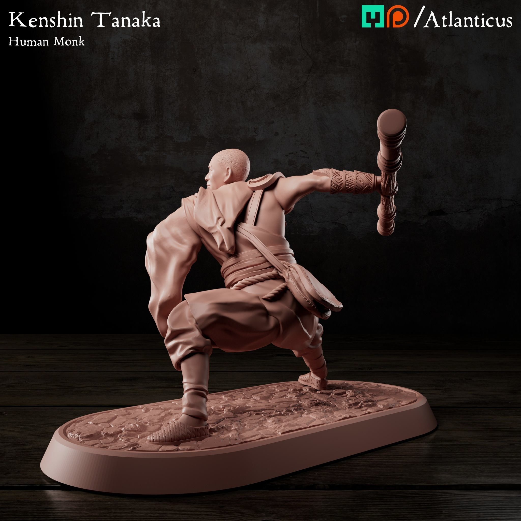 Male Human Monk - Kenshin Tanaka - Staff Squarestance 3D print model_5