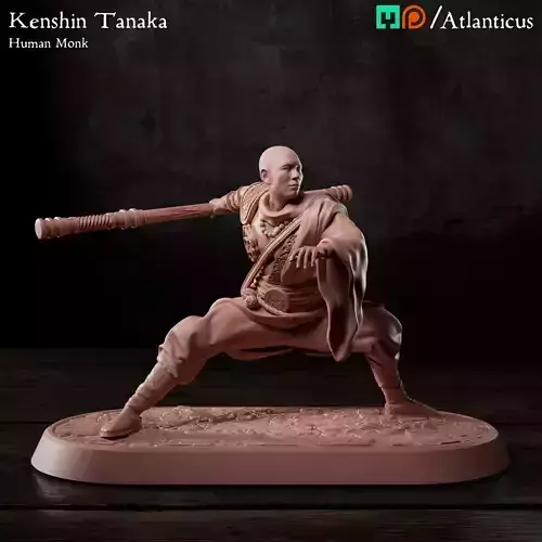 Male Human Monk - Kenshin Tanaka - Staff Squarestance 3D print model