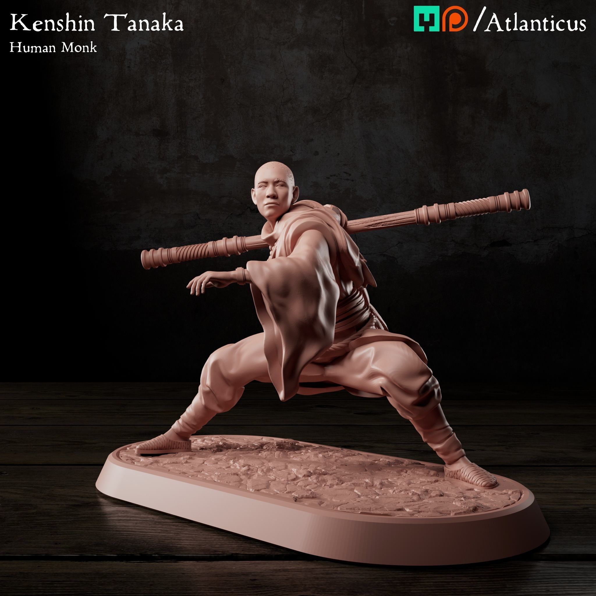 Male Human Monk - Kenshin Tanaka - Staff Squarestance 3D print model_7