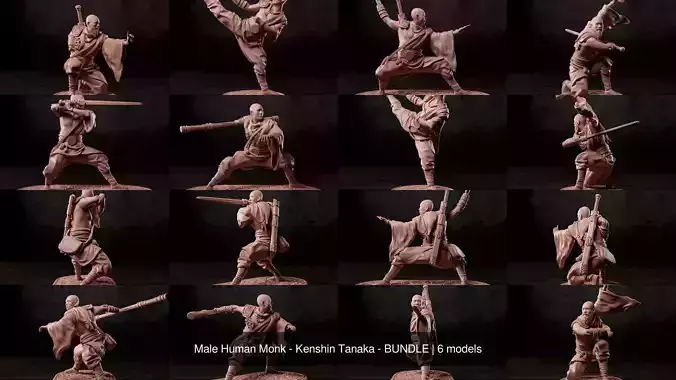 Male Human Monk - Kenshin Tanaka - BUNDLE
