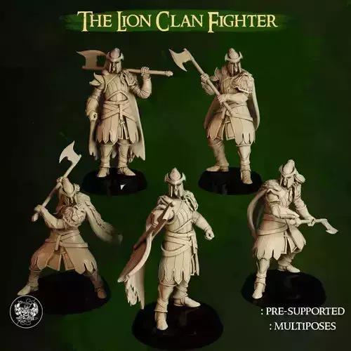High Elf Lion Clan Fighter