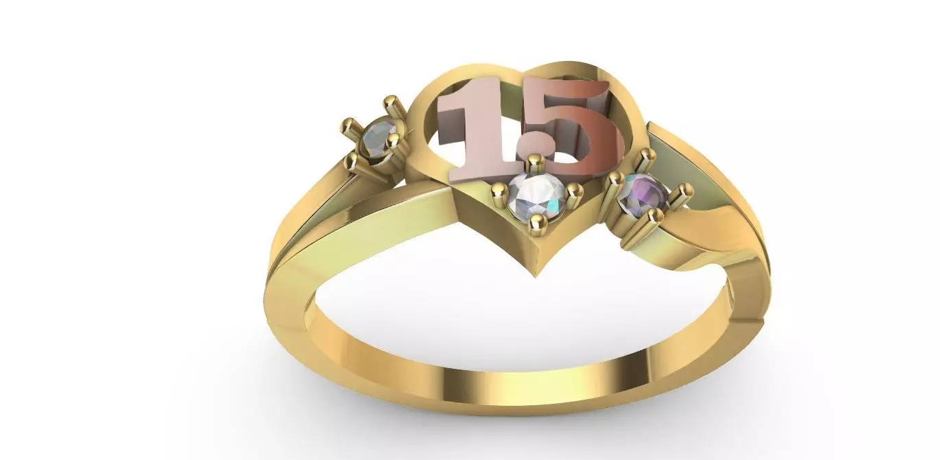 anillo 15 Free 3D print model