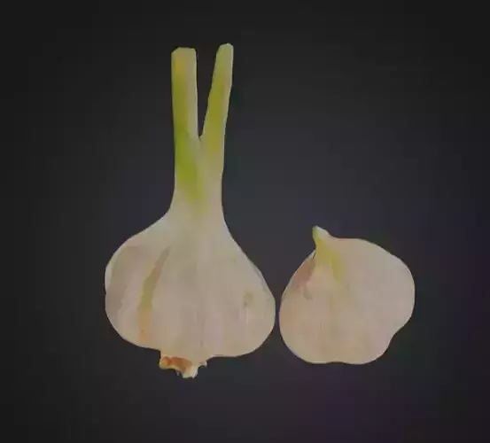 3D Realistic Garlic Bulbs