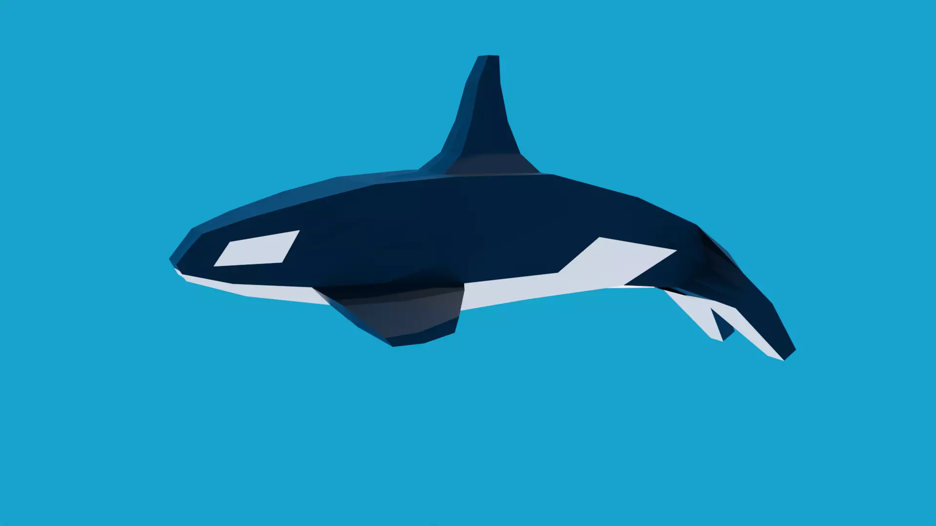 Killer whale template papercraft 3D model Low-poly 3D model