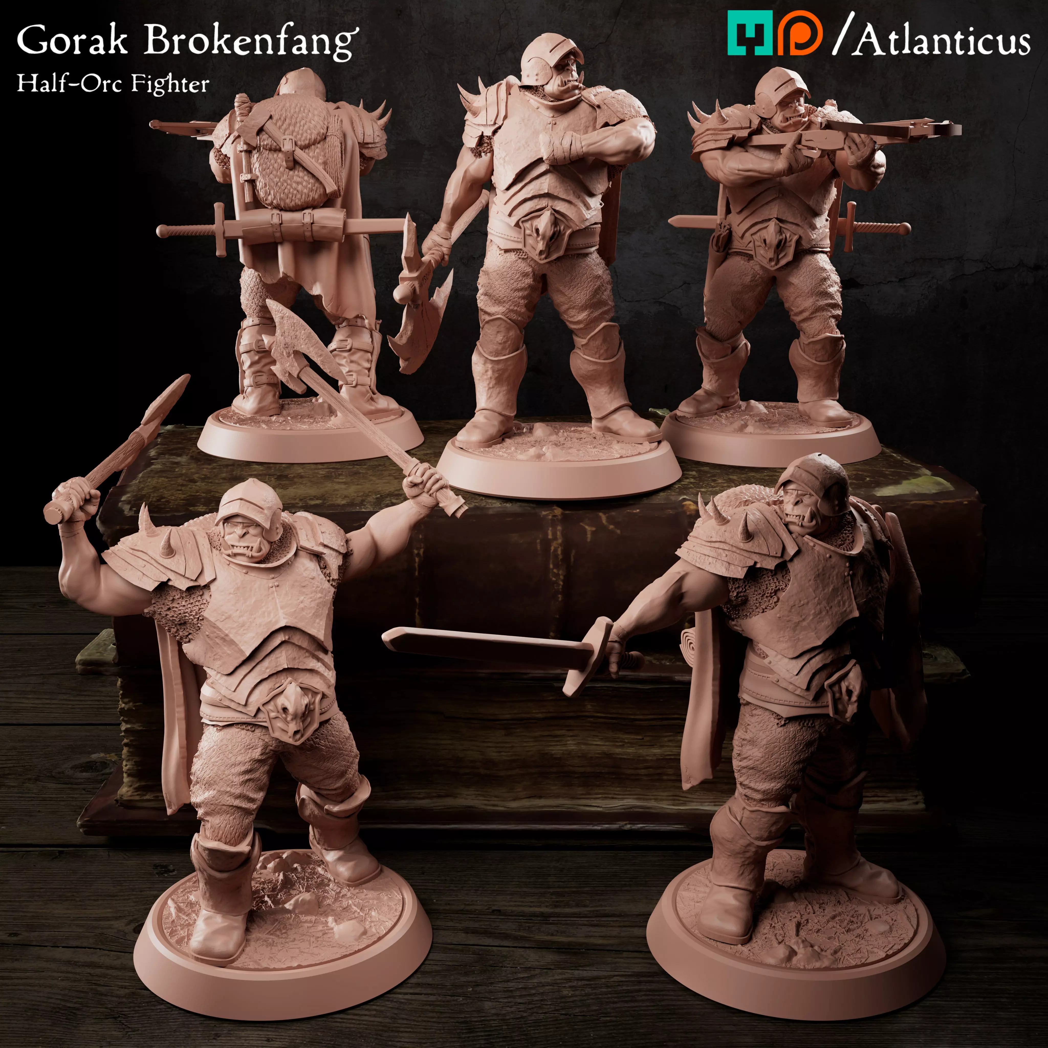 Male Half-Orc Fighter - Gorak Brokenfang - BUNDLE 3D Model Collection_0