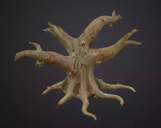3D Ancient Oak Tree with Gnarled Branches and Roots 3D model
