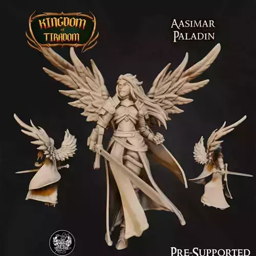 Paladin Aasimar