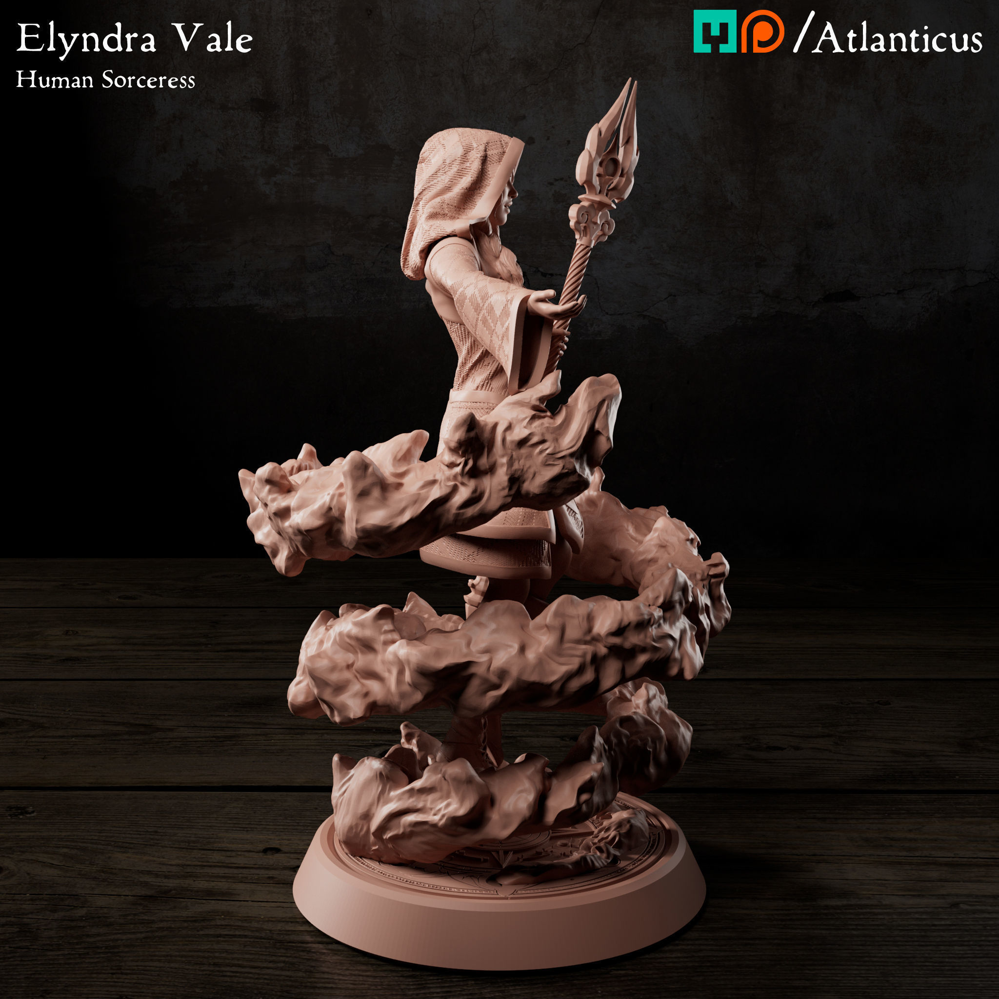 Female Human Sorceress - Elyndra Vale - Firestorm 3D print model_2