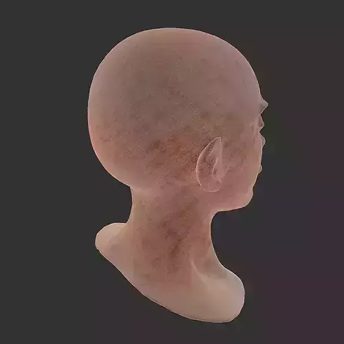 Graceful Cat Figurine