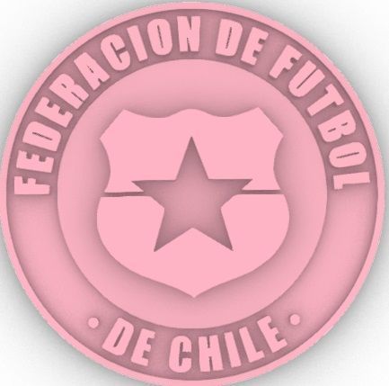 Federacion de Futbol de Chile - Soccer Shield Chile 3D print model_14
