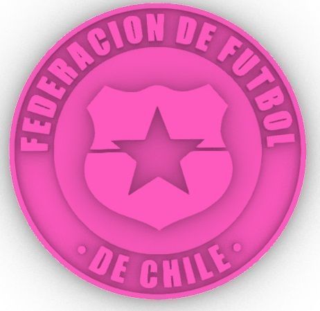 Federacion de Futbol de Chile - Soccer Shield Chile 3D print model_5