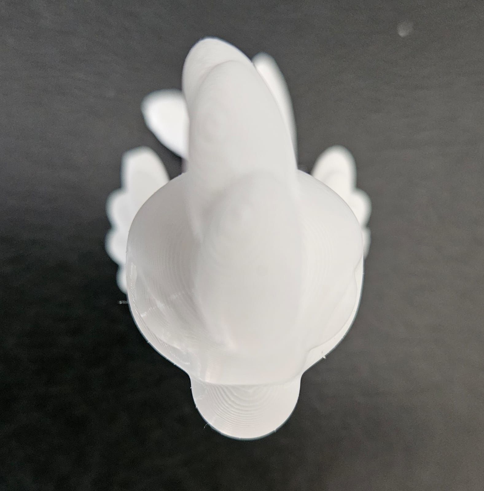 Cockatiel Cartoon 3D print model_14