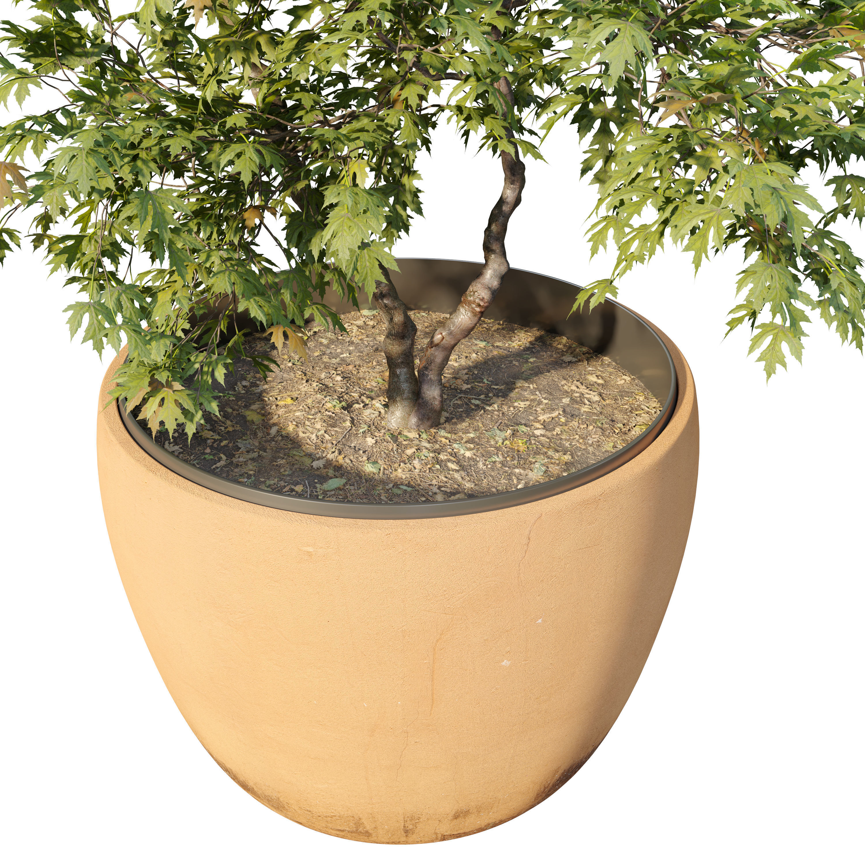 Maple planter 3D model_1