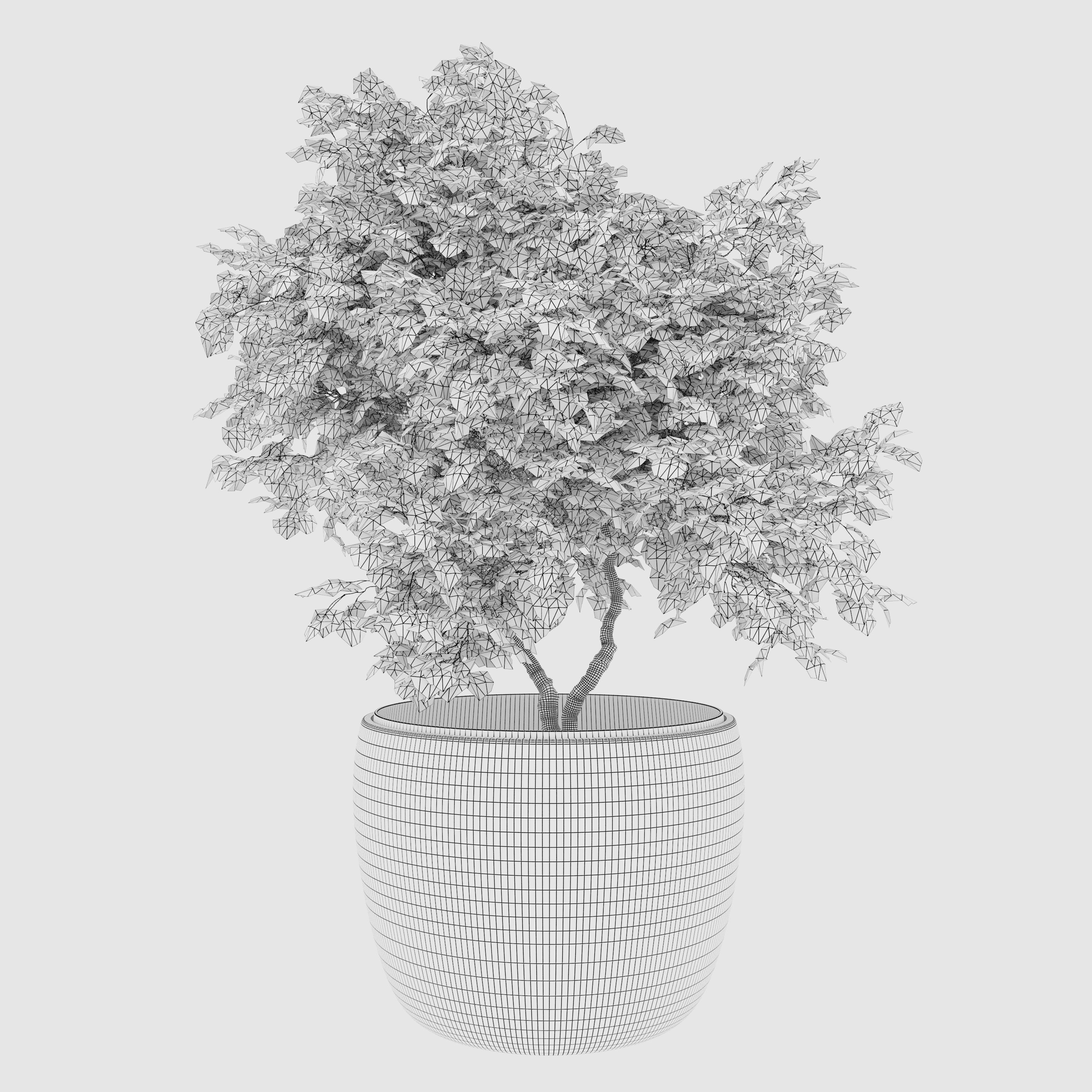 Maple planter 3D model_3