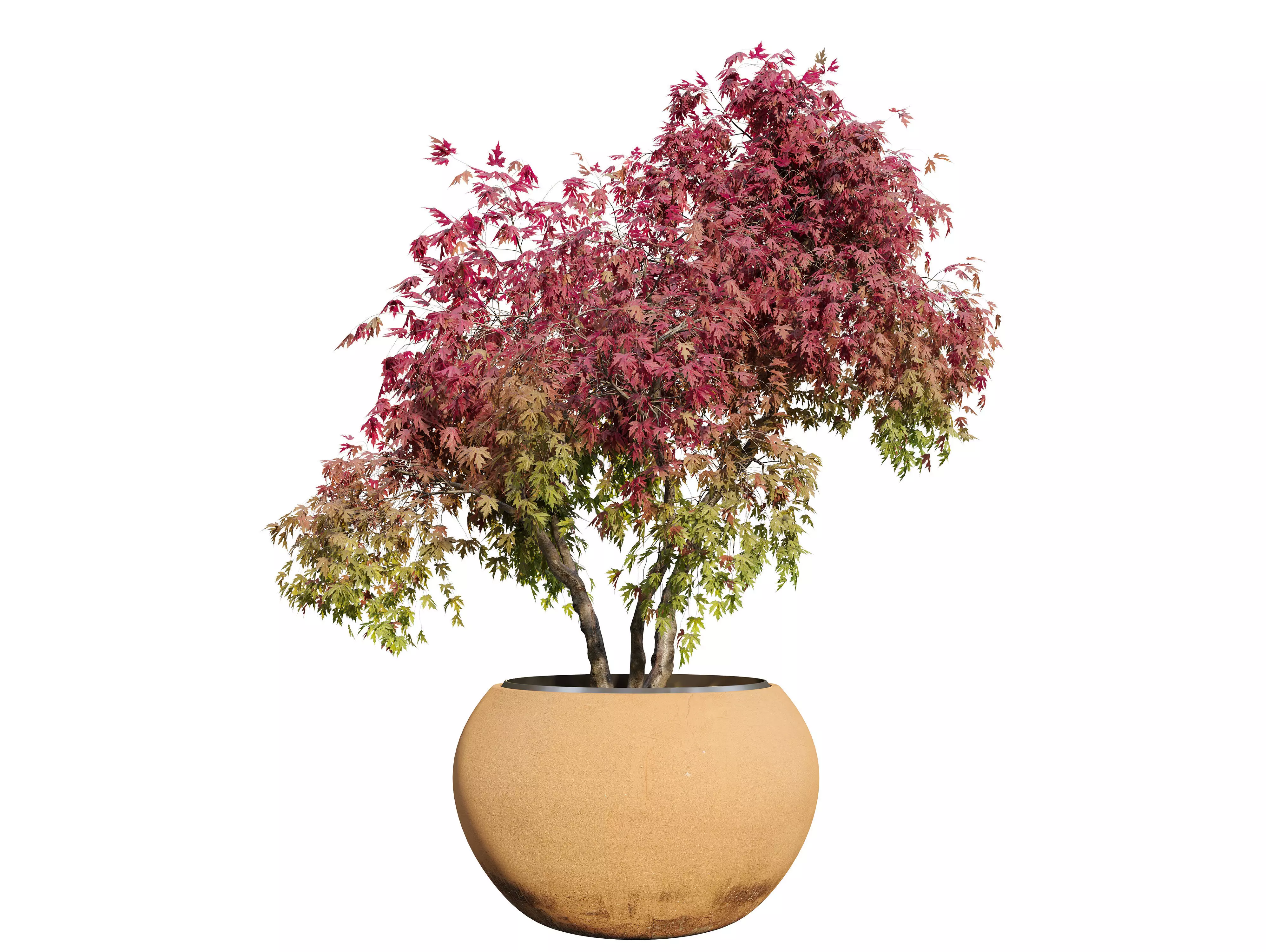 Maple planter 02 3D model_0