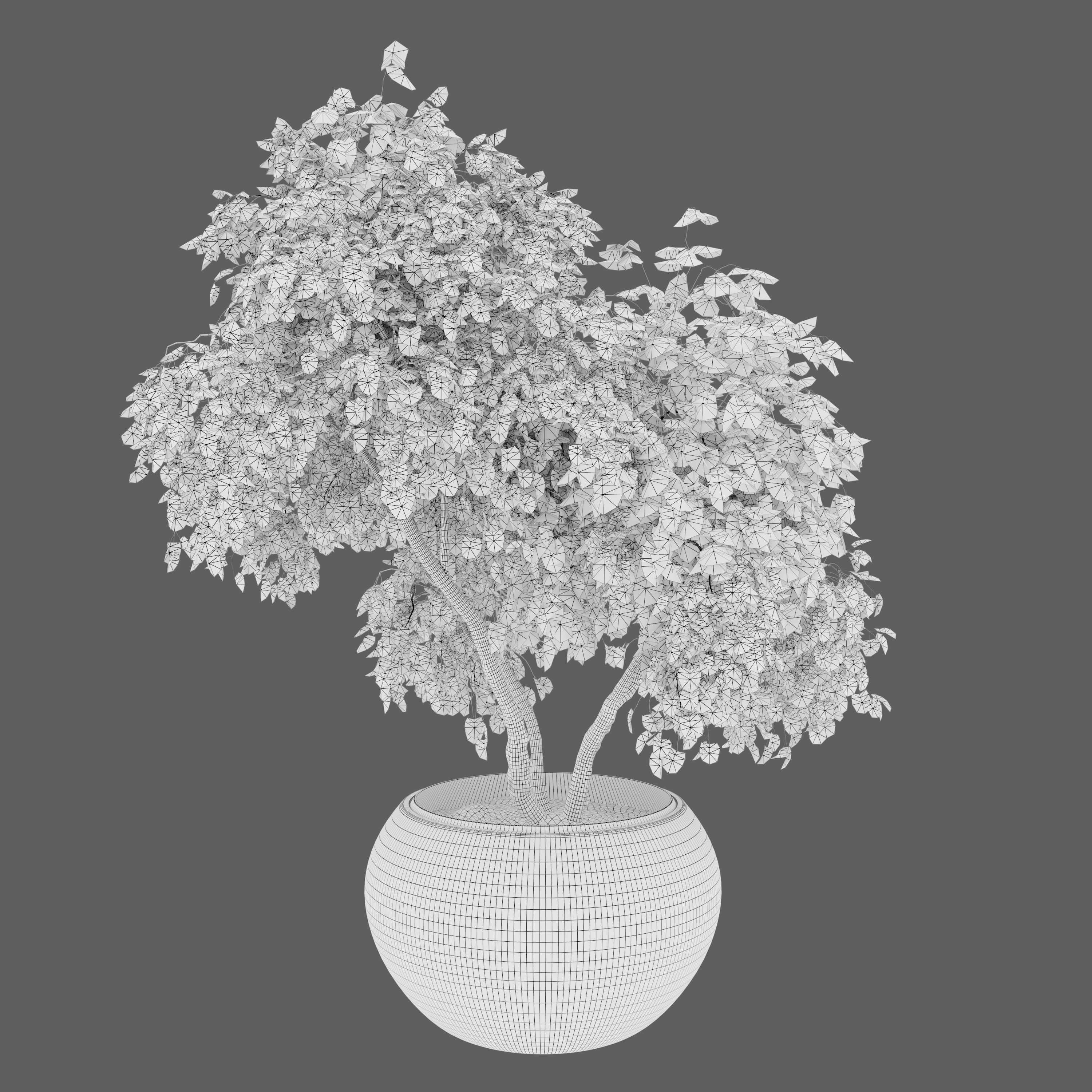 Maple planter 02 3D model_2