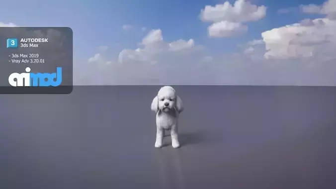Poodle Dog small