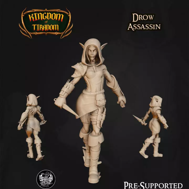 Drow Assassin 3D print model_0