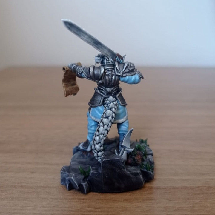 Dragonborn Knight 3D print model_2