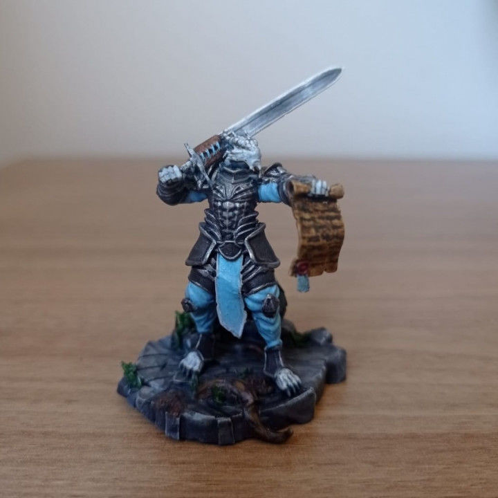 Dragonborn Knight 3D print model_1