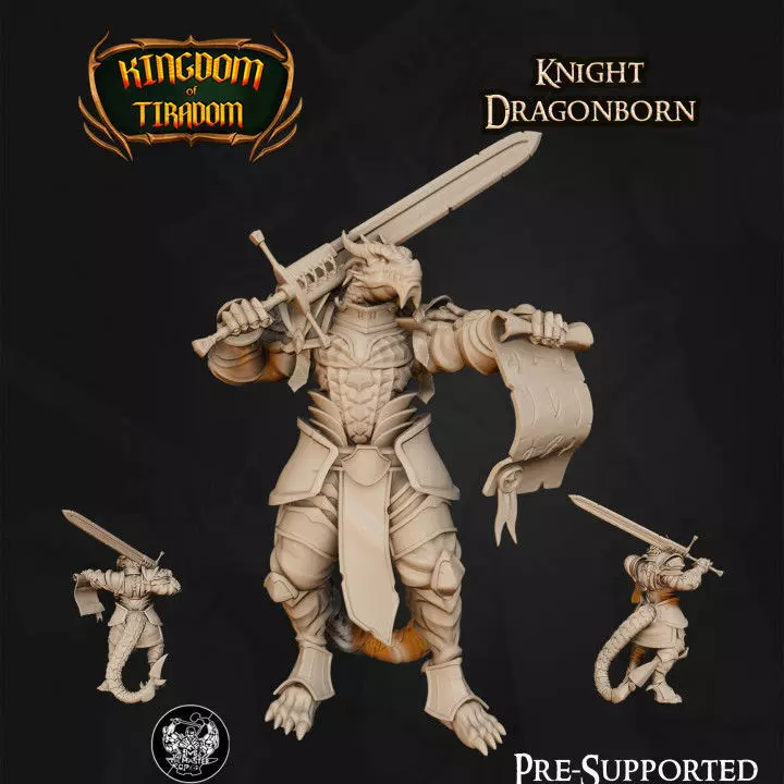 Dragonborn Knight 3D print model_0