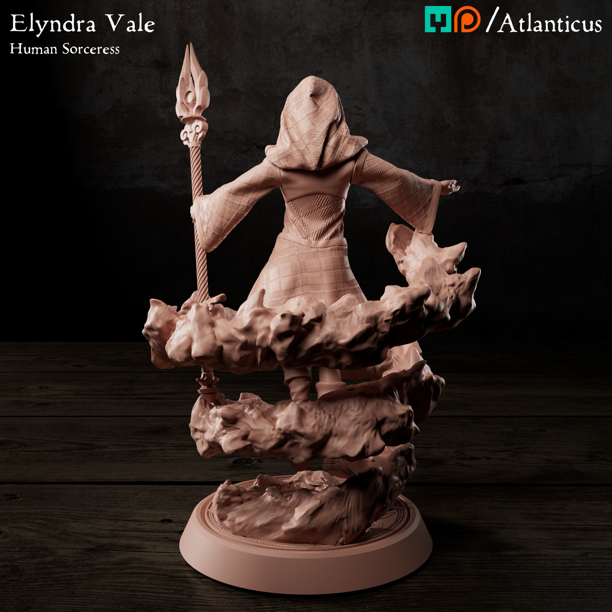 Female Human Sorceress - Elyndra Vale - BUNDLE 3D Model Collection_3