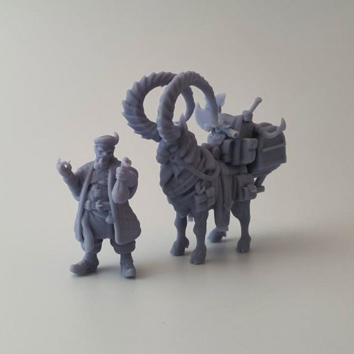 Half Orc Merchant 3D print model_2