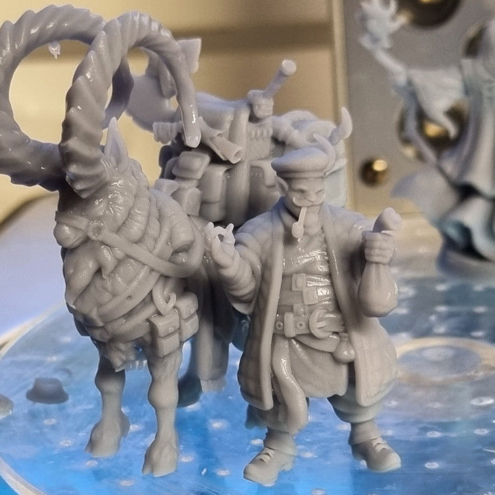 Half Orc Merchant 3D print model_1