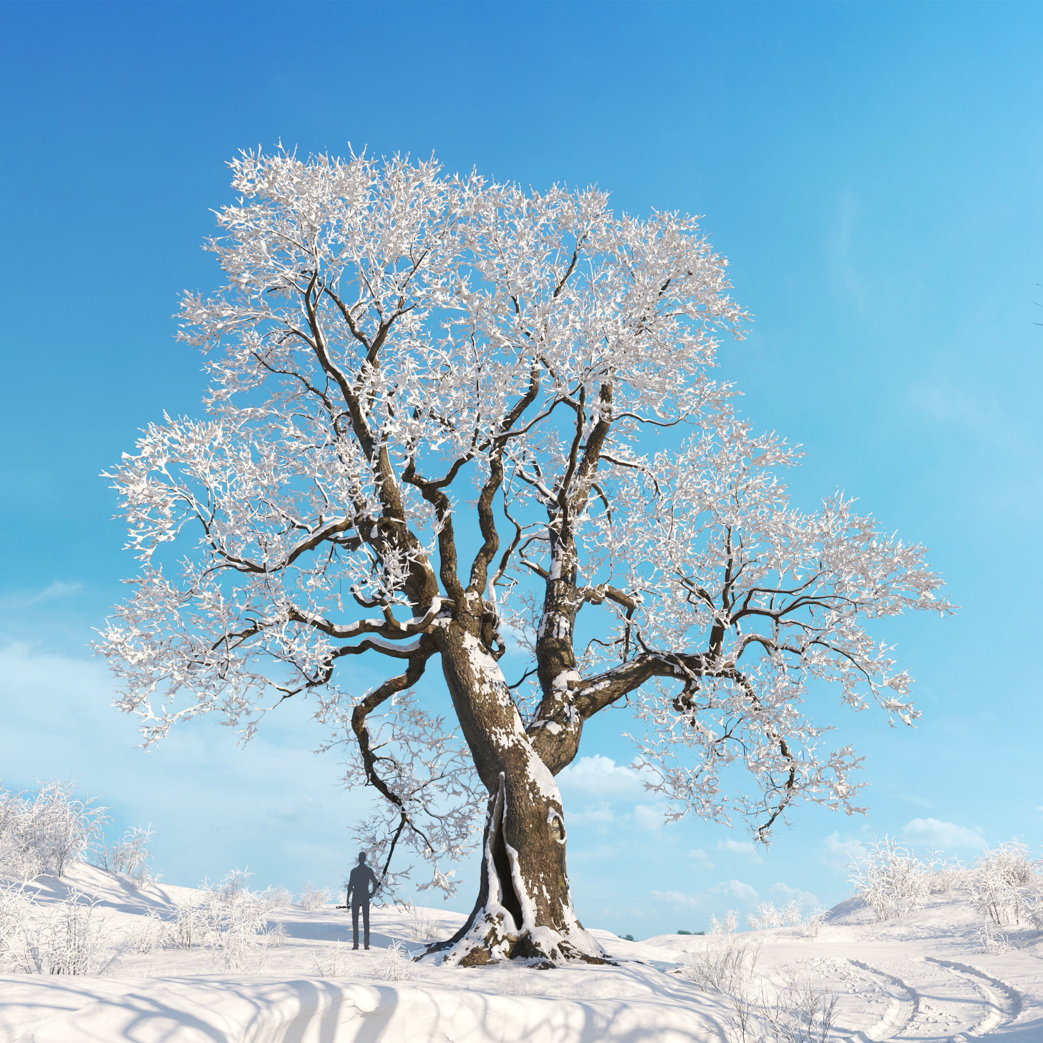 Archmodels vol 278 - collection of winter trees 3D model_16