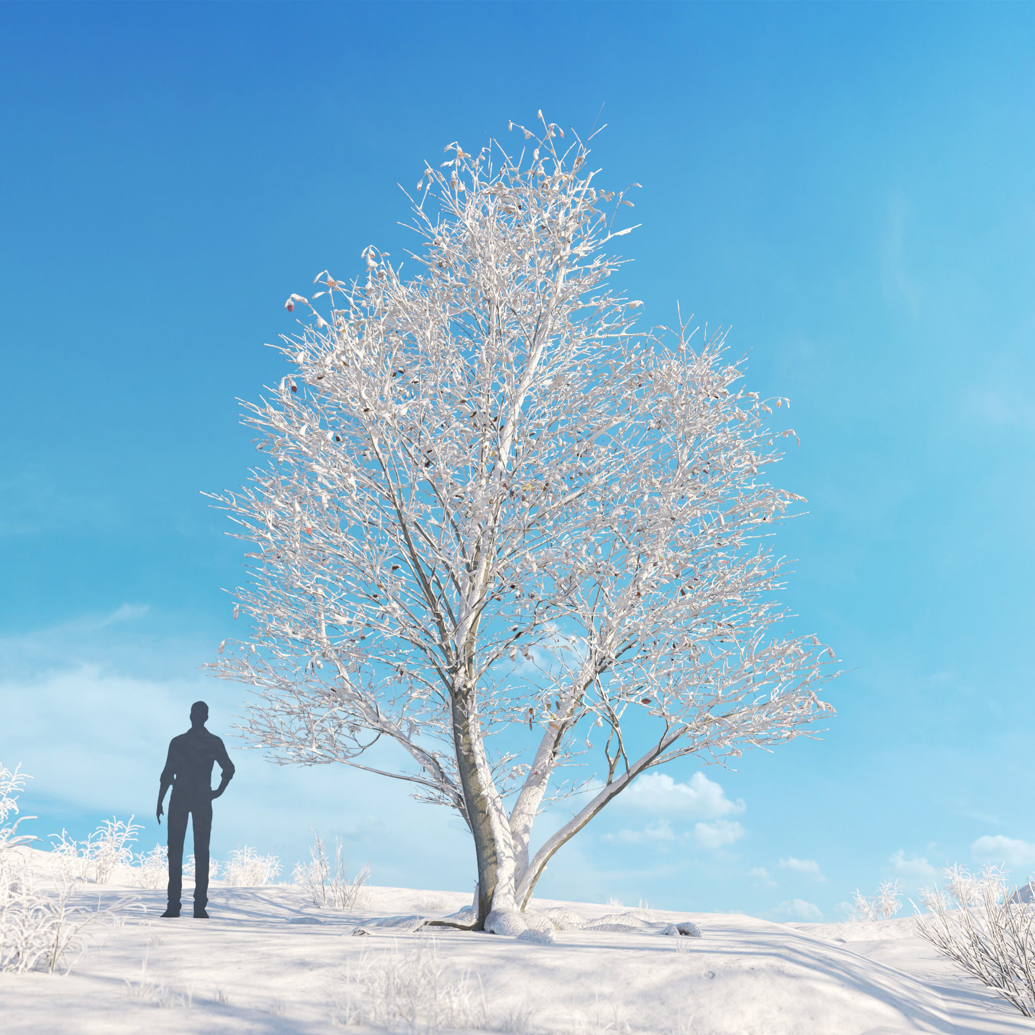 Archmodels vol 278 - collection of winter trees 3D model_1