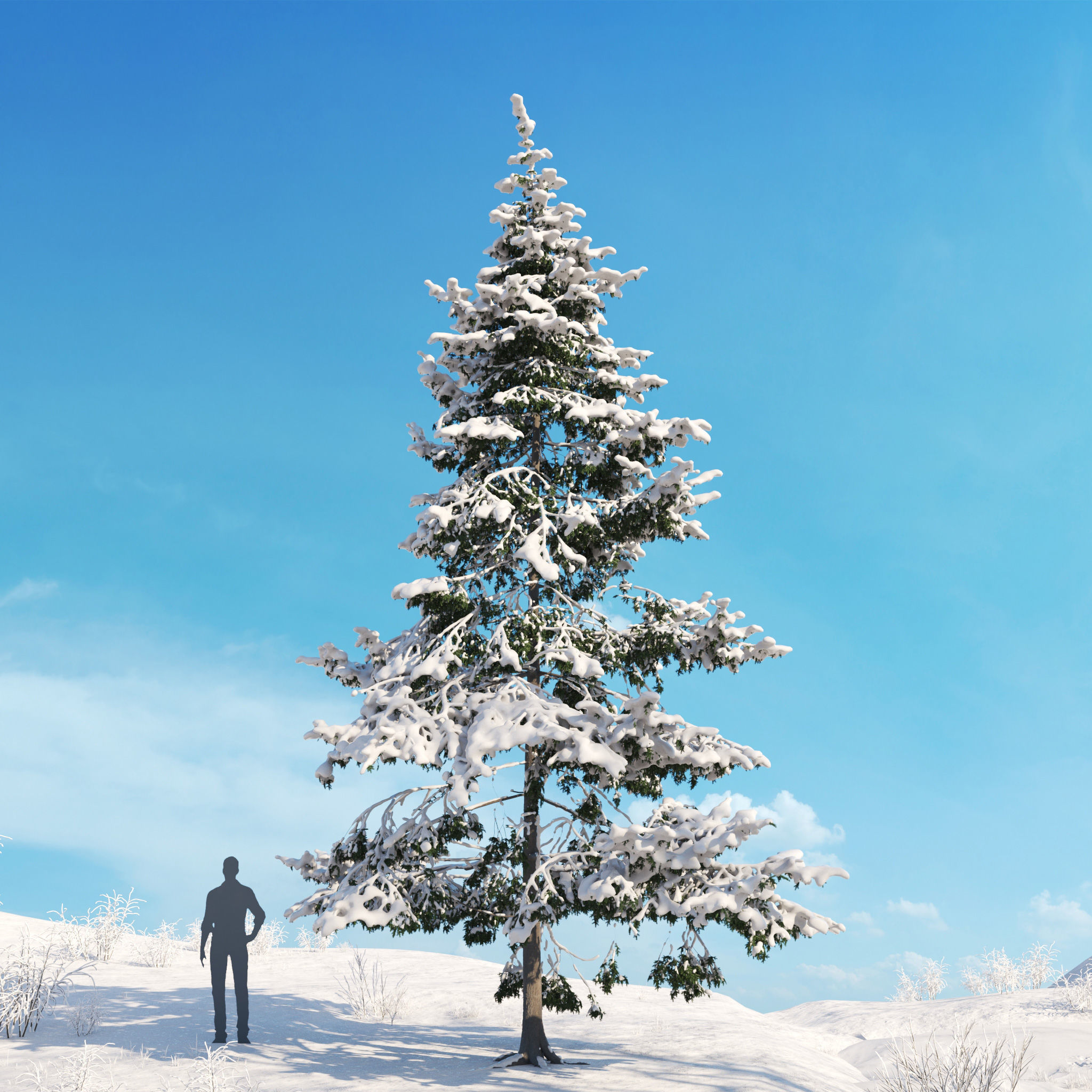 Archmodels vol 278 - collection of winter trees 3D model_42