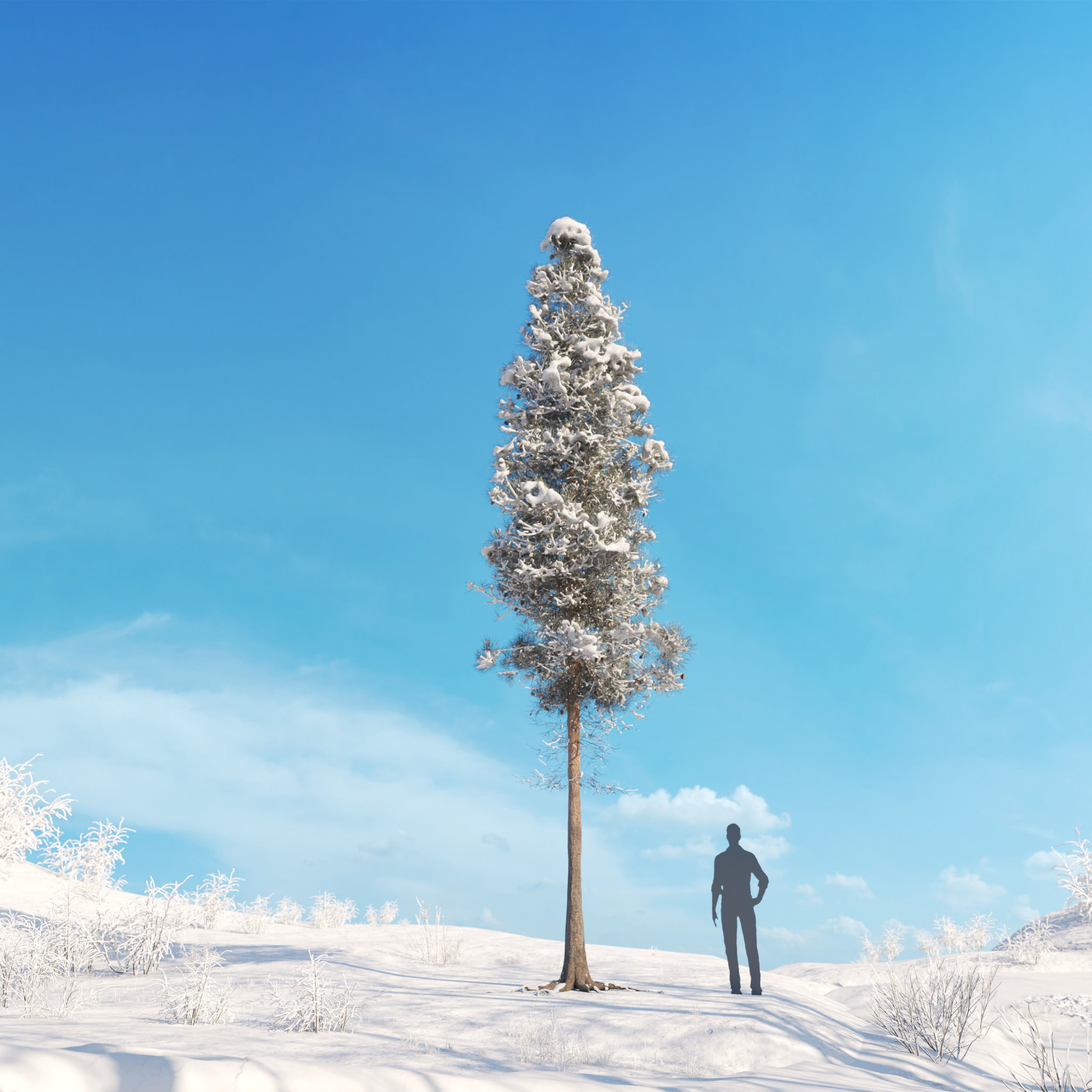 Archmodels vol 278 - collection of winter trees 3D model_30