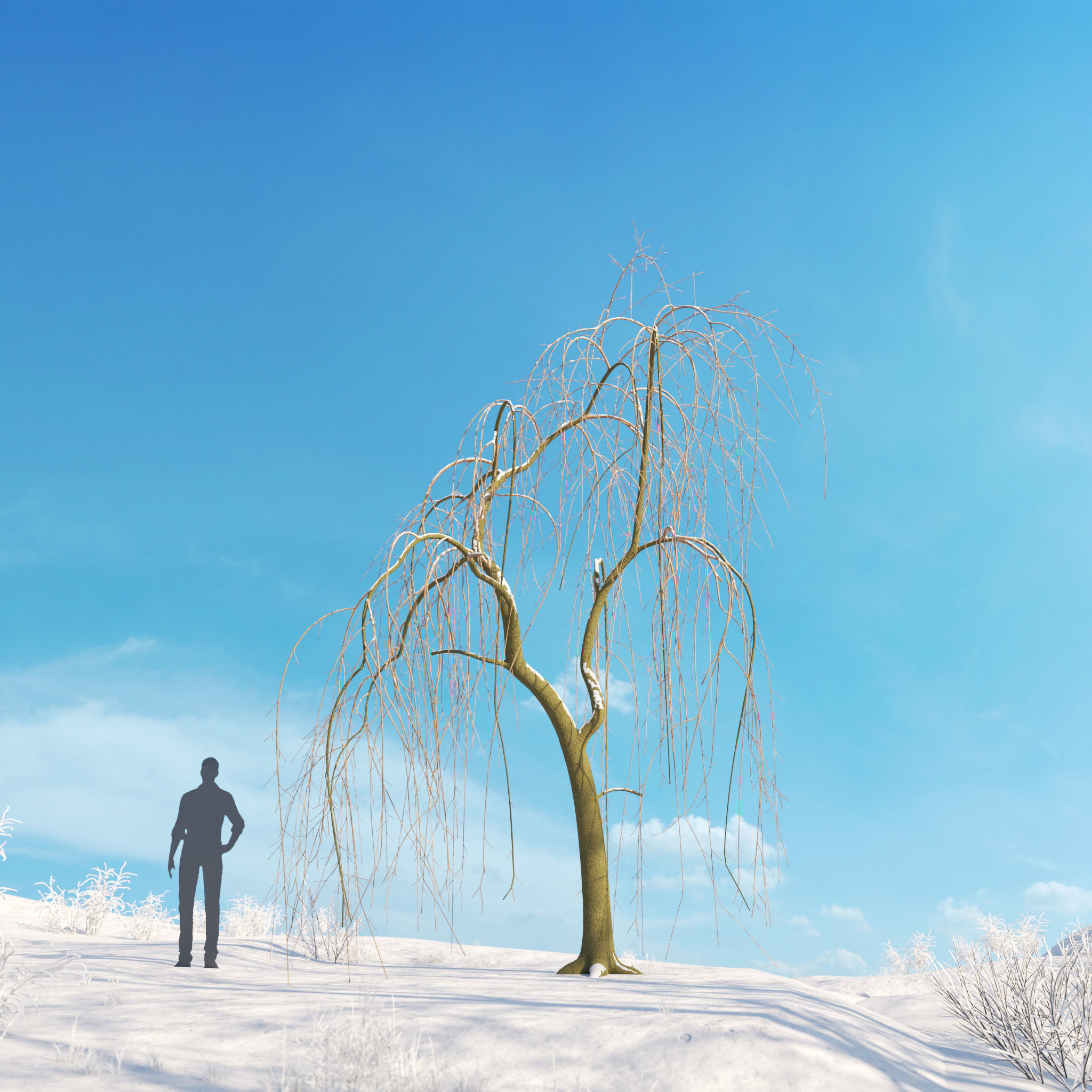 Archmodels vol 278 - collection of winter trees 3D model_18