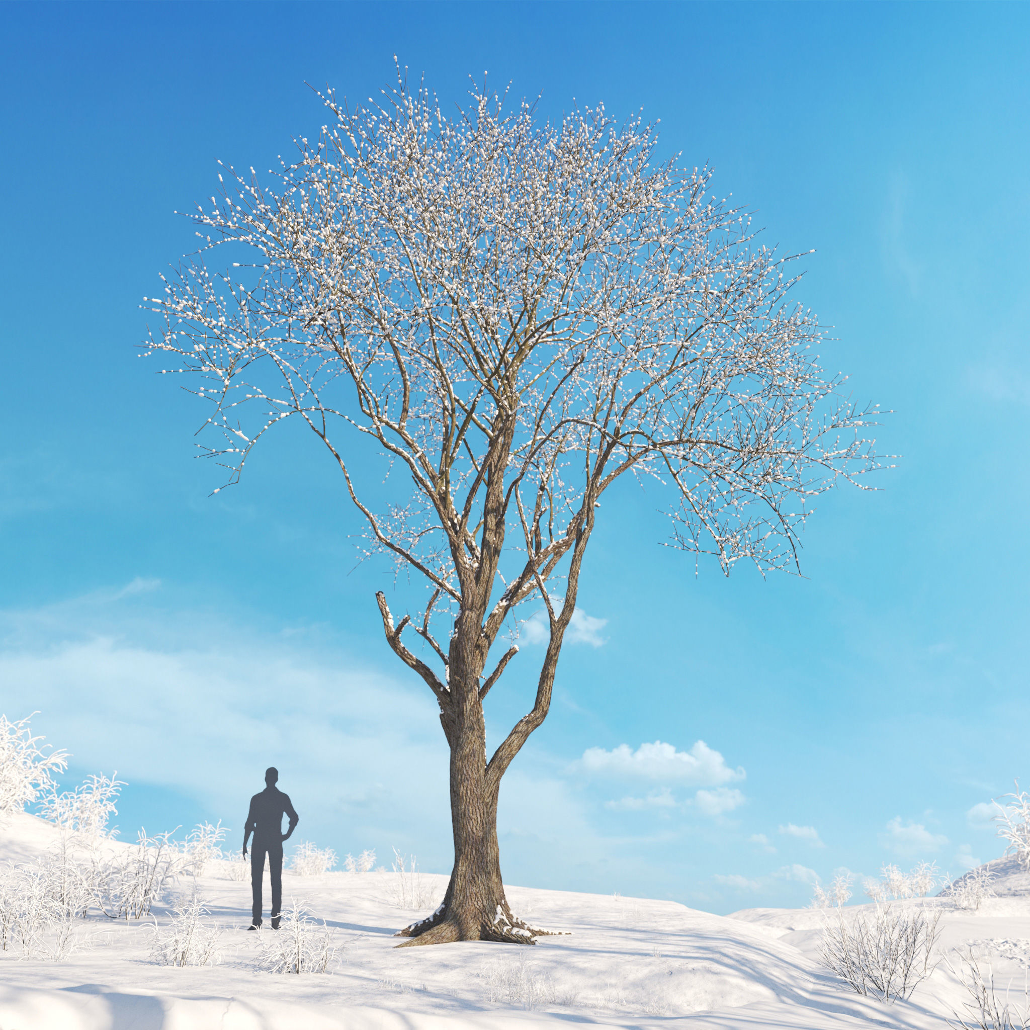 Archmodels vol 278 - collection of winter trees 3D model_7