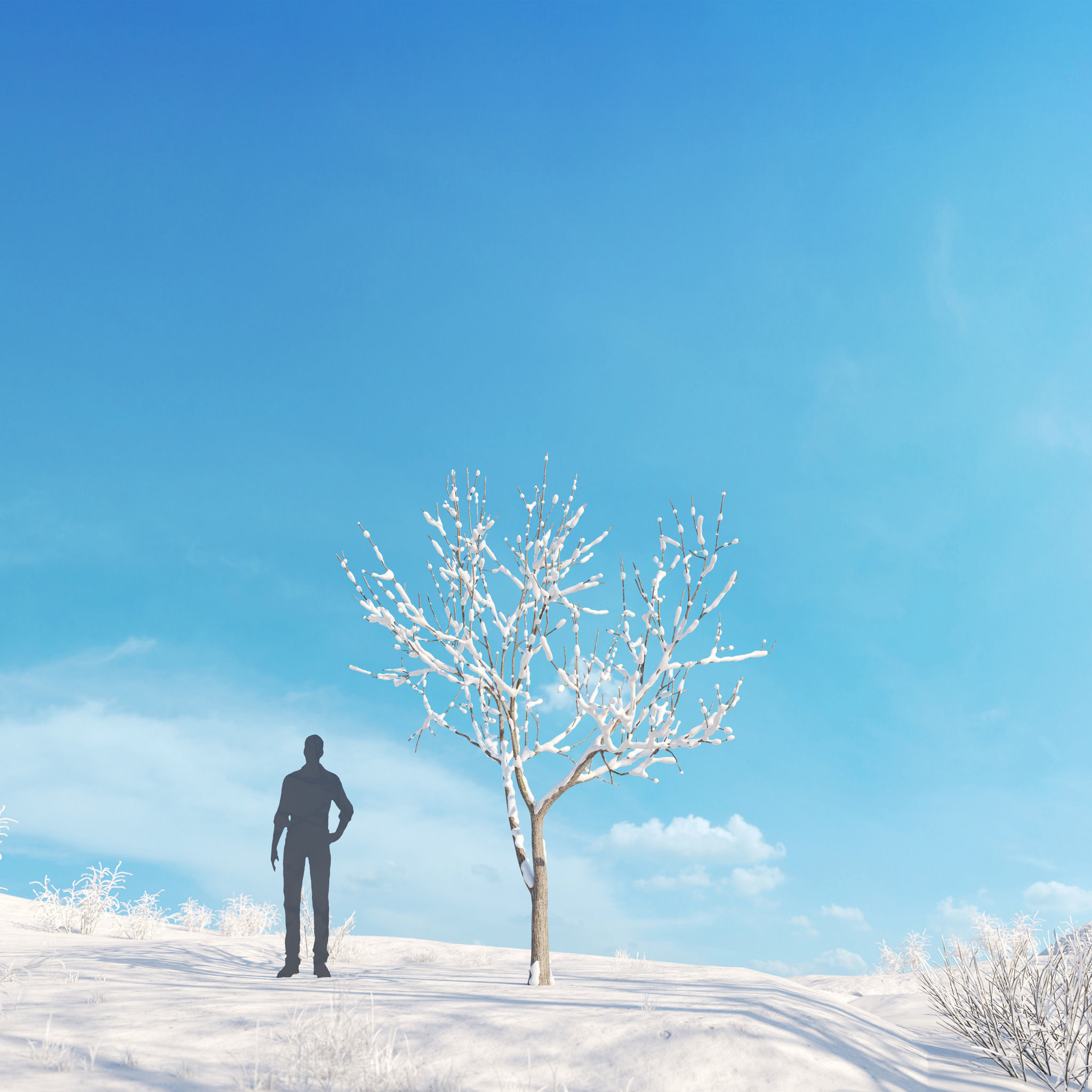 Archmodels vol 278 - collection of winter trees 3D model_10