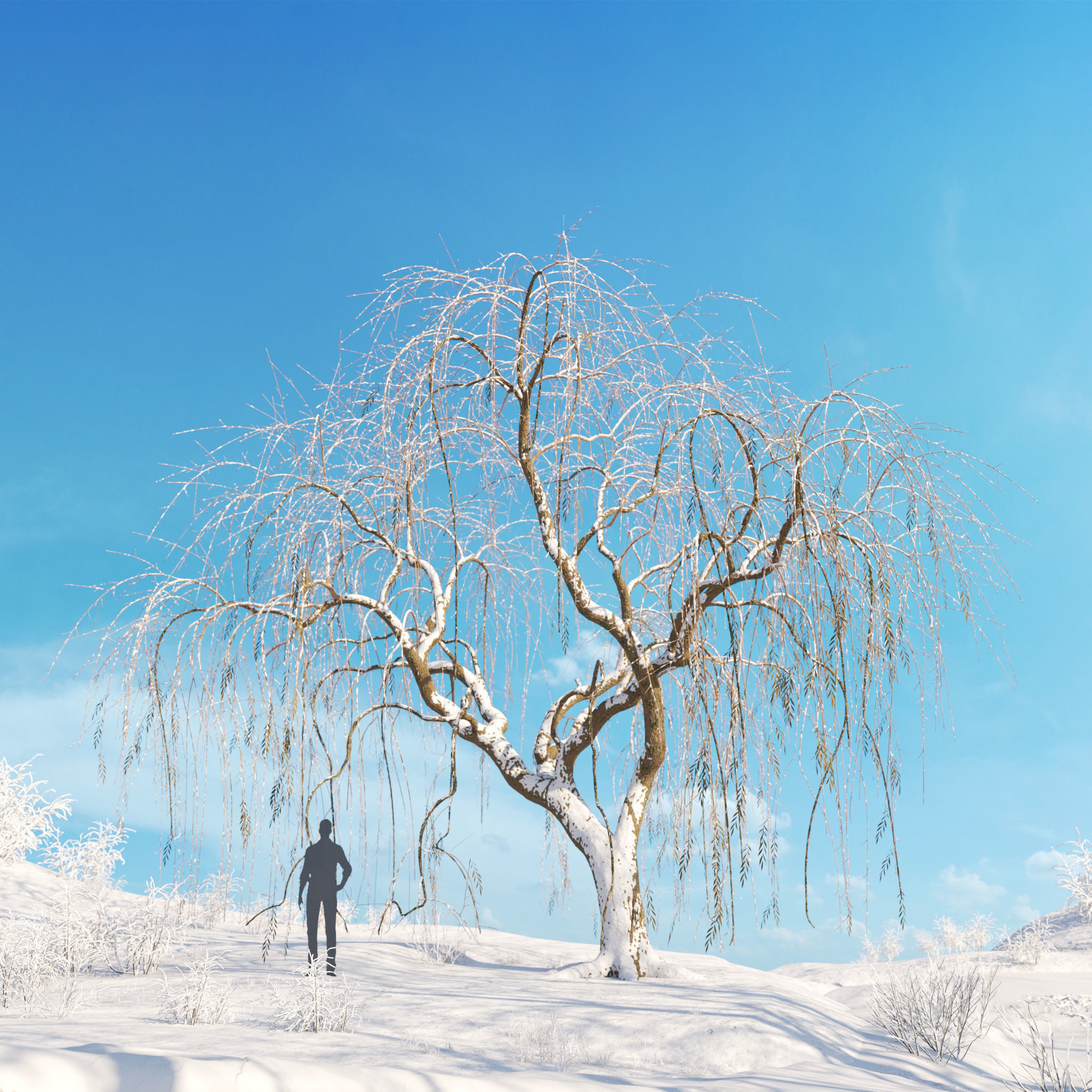 Archmodels vol 278 - collection of winter trees 3D model_19