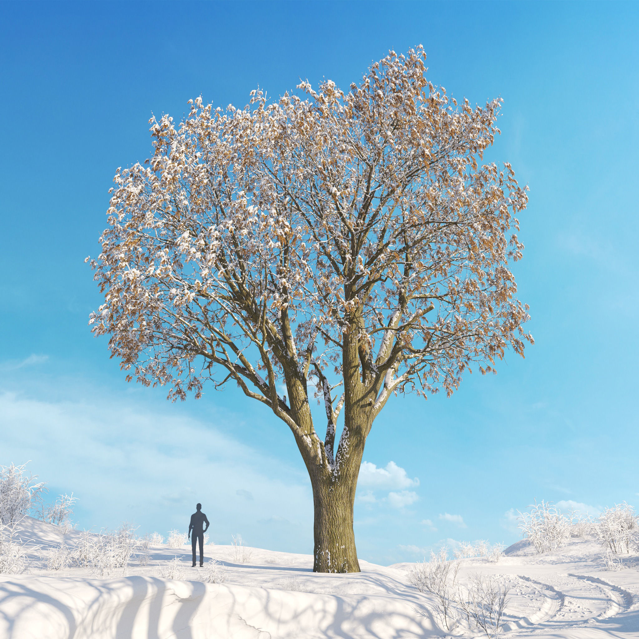 Archmodels vol 278 - collection of winter trees 3D model_26