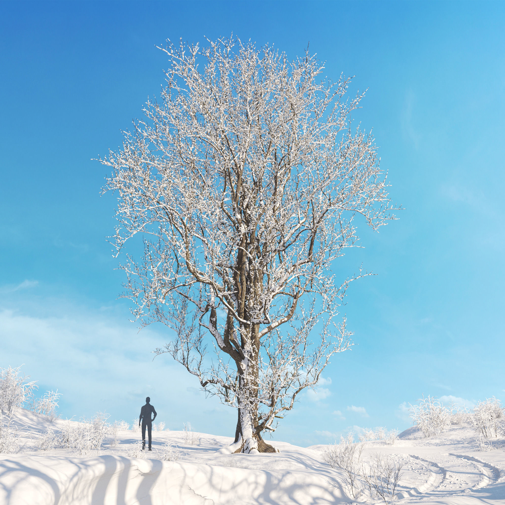 Archmodels vol 278 - collection of winter trees 3D model_8