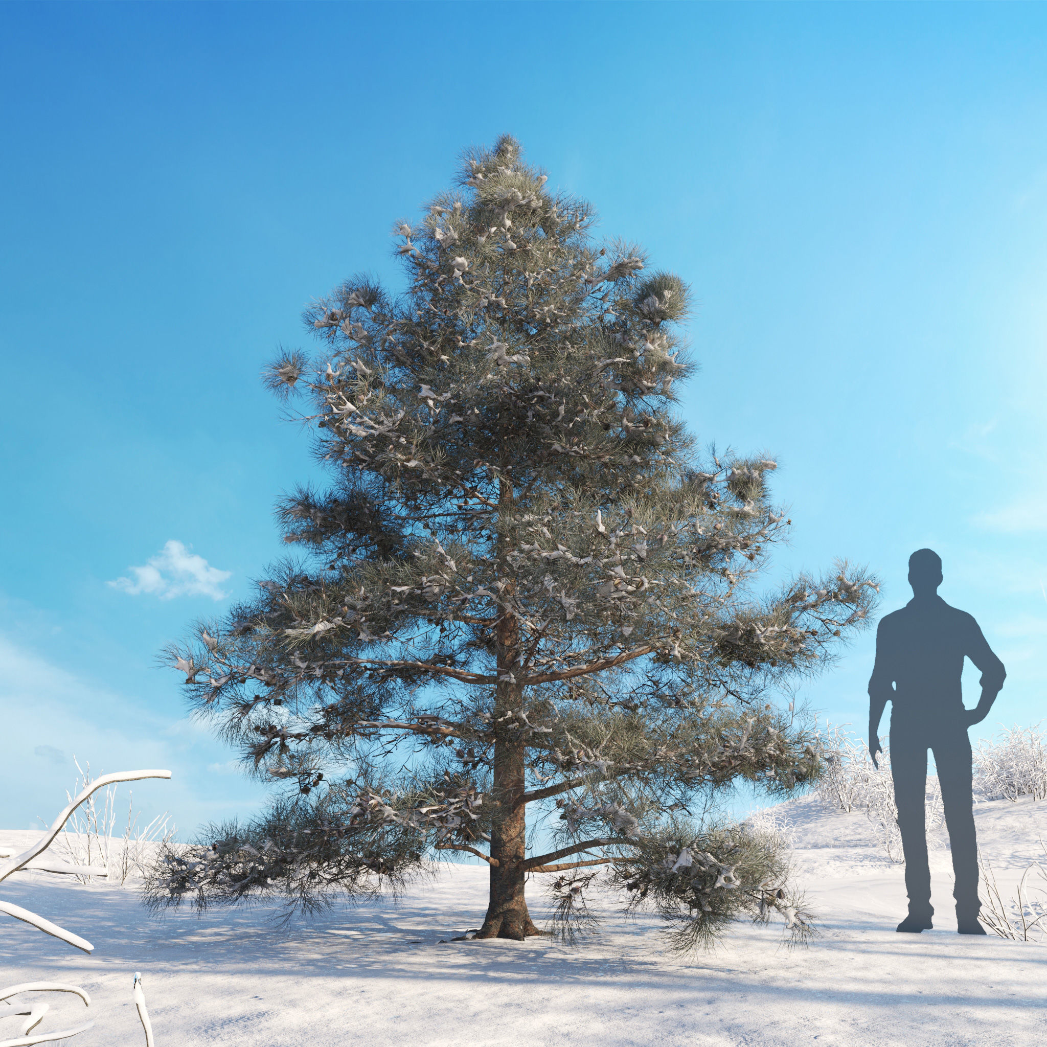 Archmodels vol 278 - collection of winter trees 3D model_32