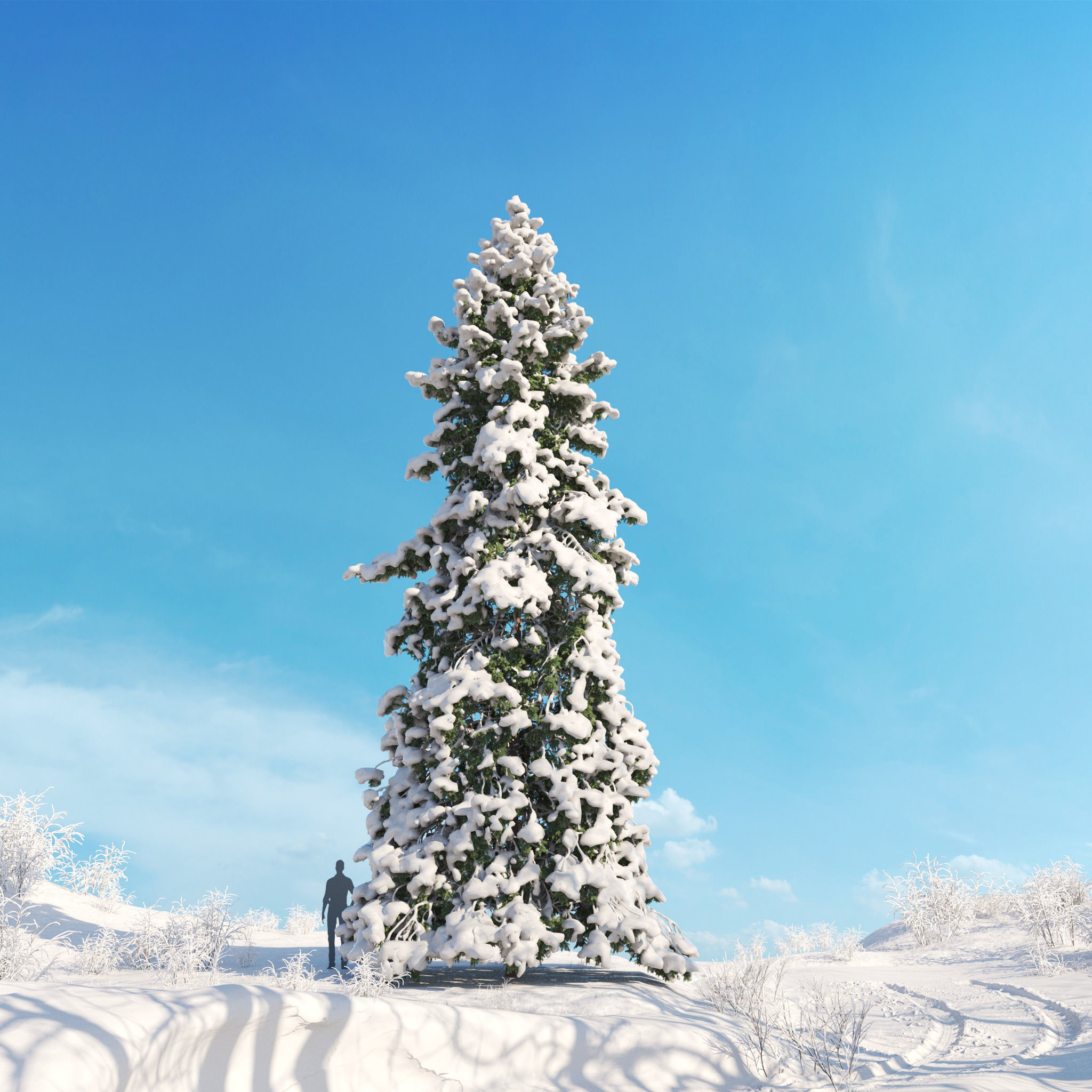 Archmodels vol 278 - collection of winter trees 3D model_33