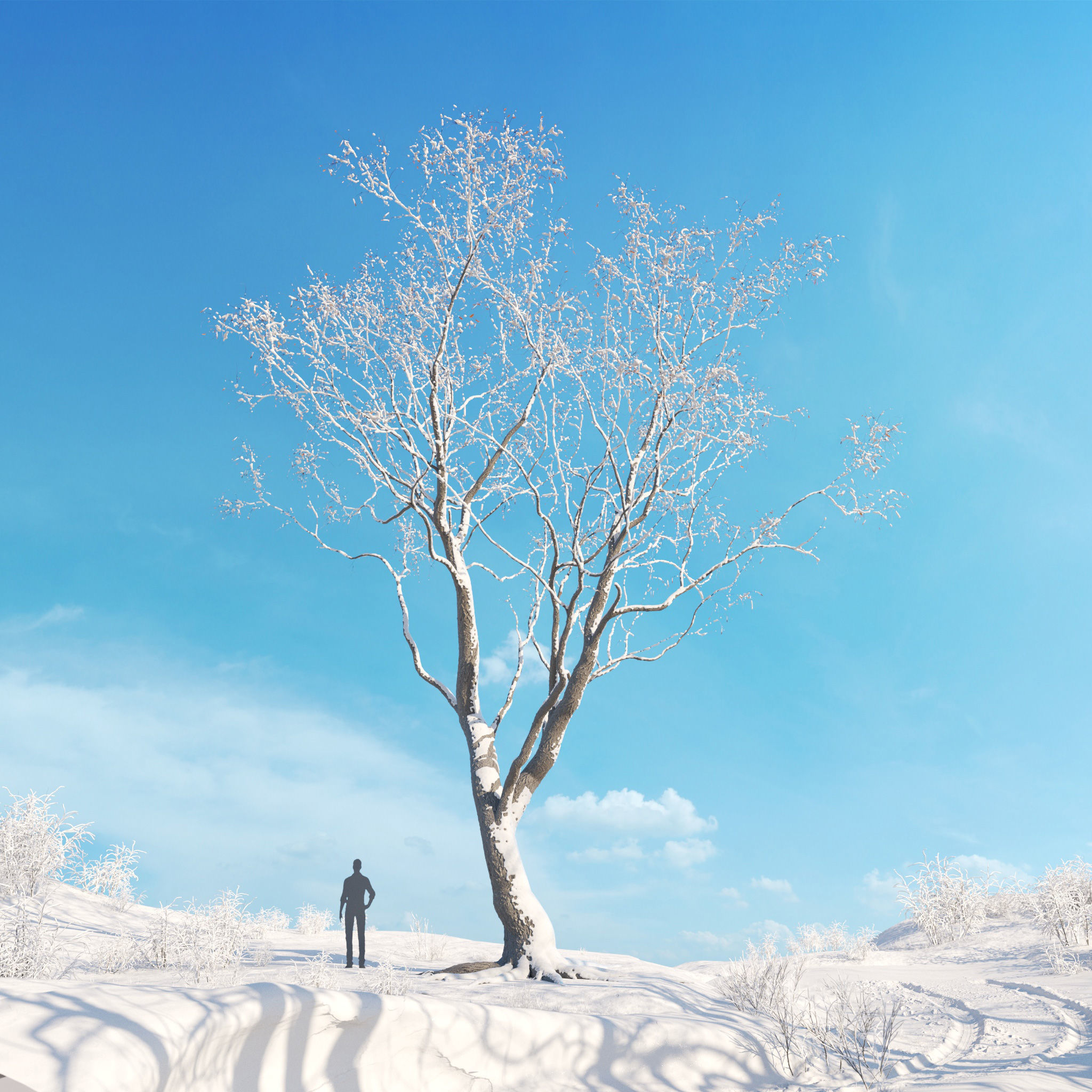 Archmodels vol 278 - collection of winter trees 3D model_45