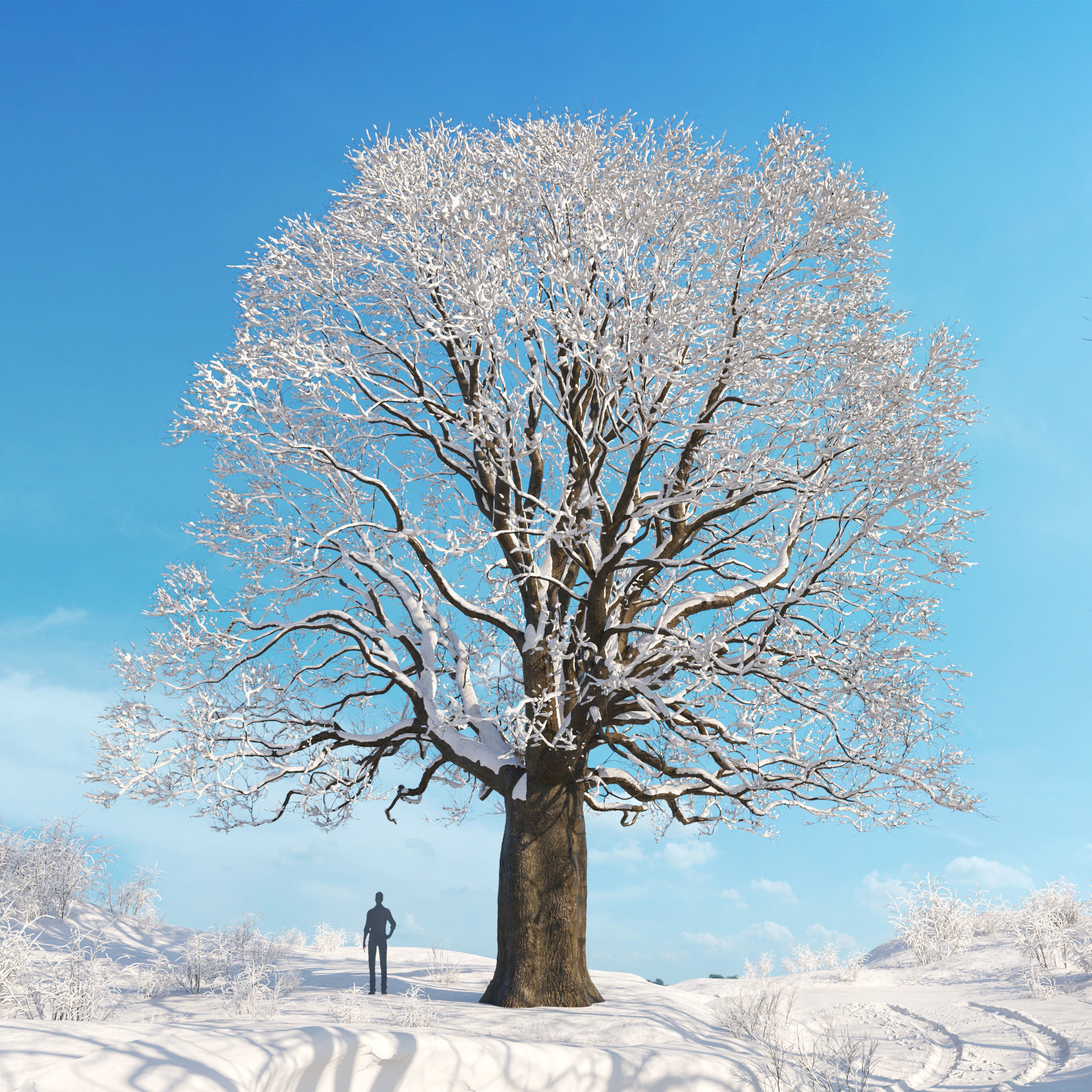 Archmodels vol 278 - collection of winter trees 3D model_15