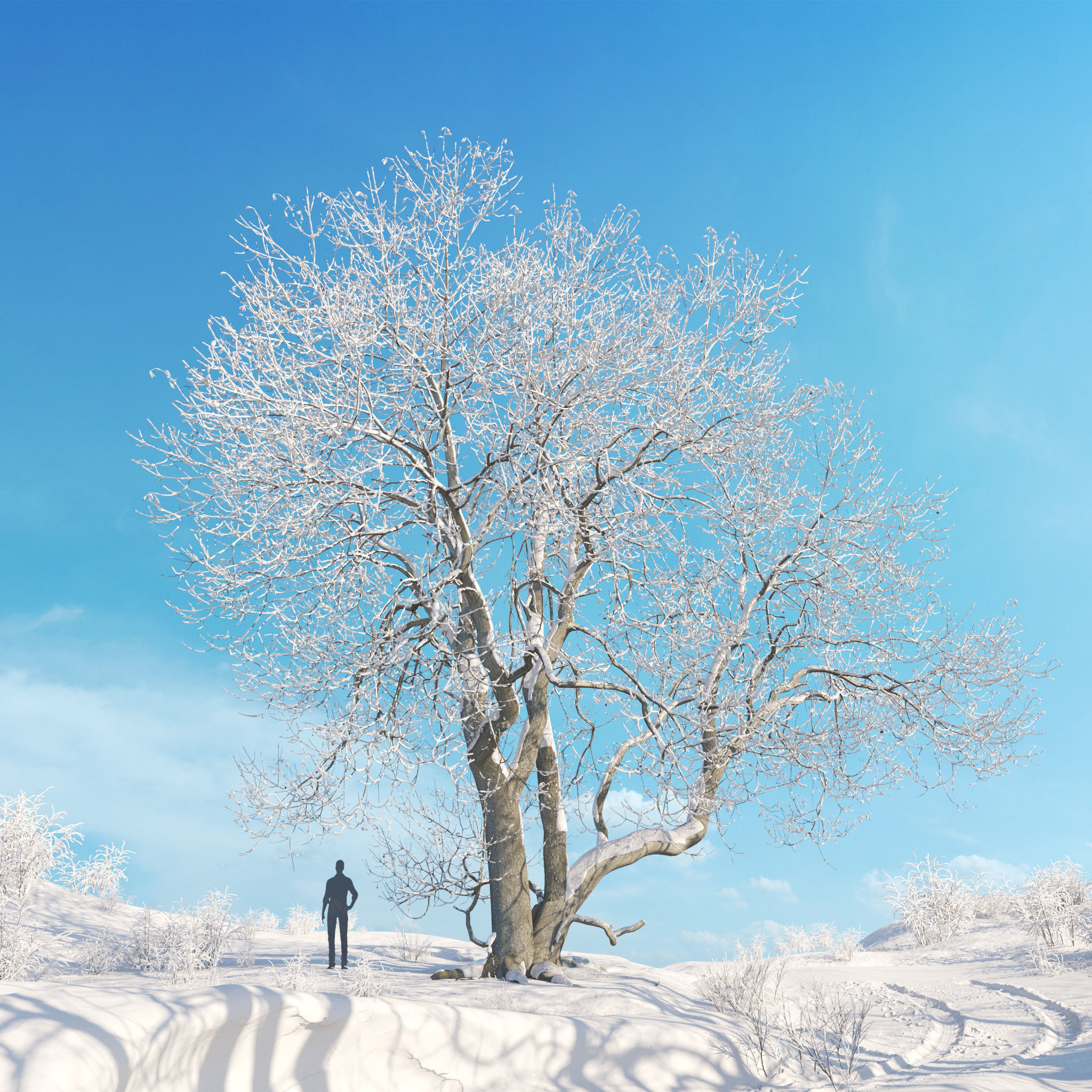 Archmodels vol 278 - collection of winter trees 3D model_4